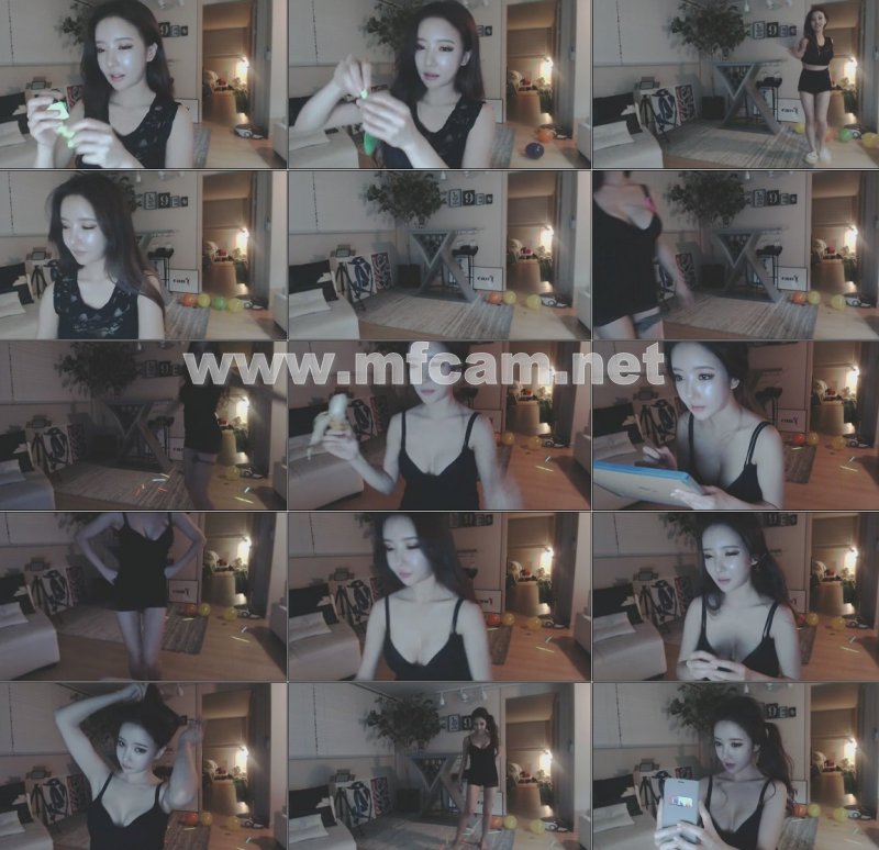 KOREAN BJ 2016020209