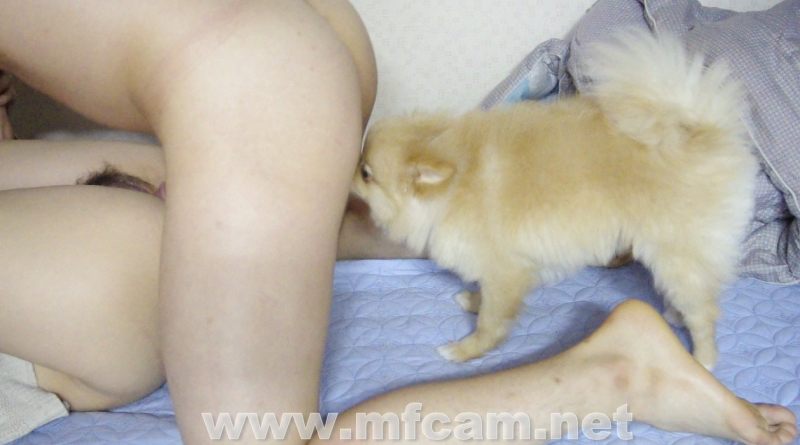 KOREAN AMATEUR 2016041301