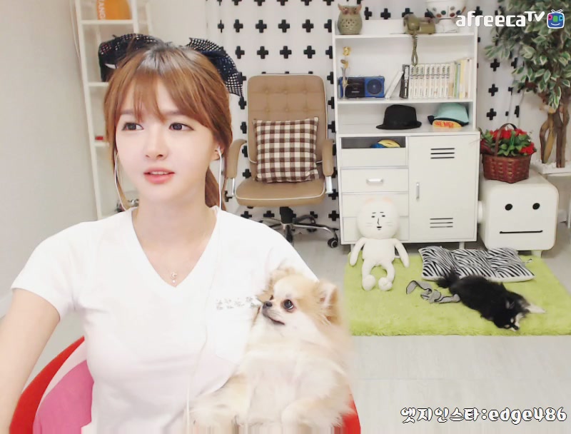 KOREAN BJ 2016070304