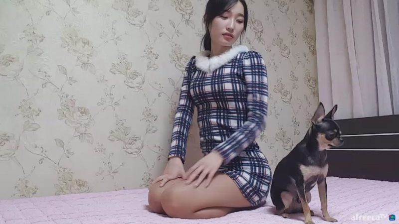 korean-bj-20161117023